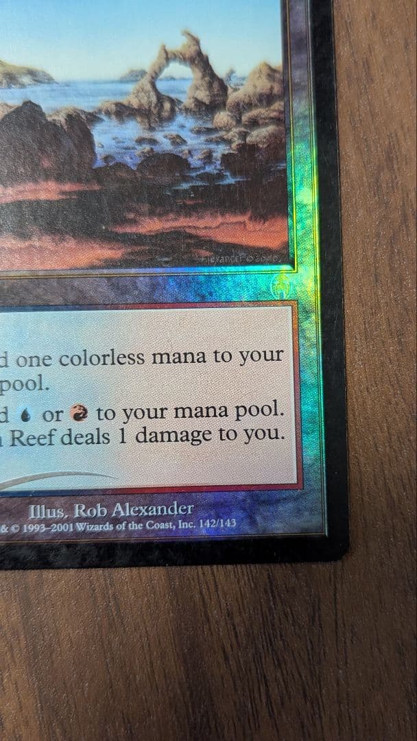 シヴの浅瀬 Shivan Reef Foil - www.khushioslo.no