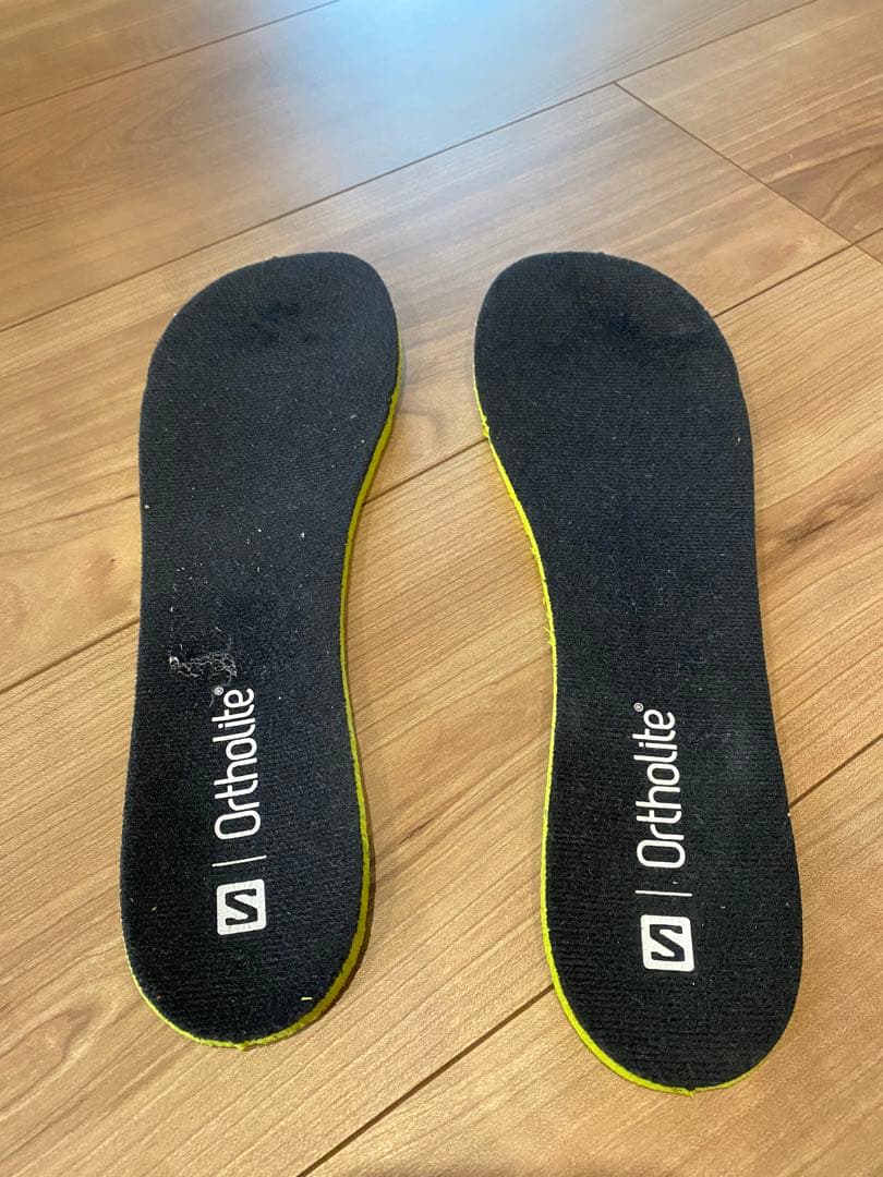 SALOMON FACTION 値下げしました