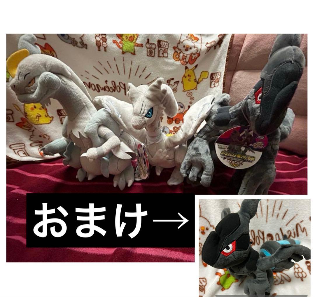 ポケモン ゼクロム ぬいぐるみ タカラトミー ポーズチェンジ ゼクロム