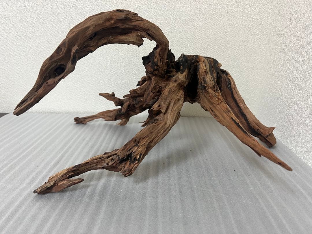 HX-079 流木 ホーンウッド マシンガンウッド アクアリウム ブランチ