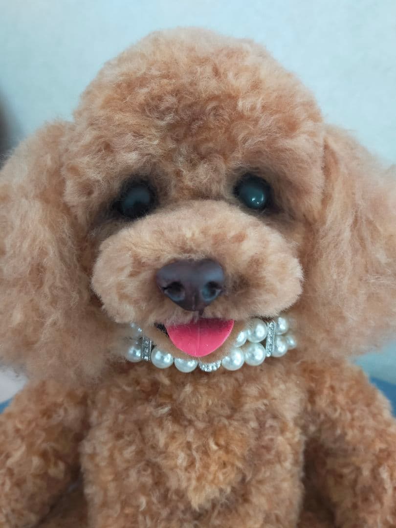 りんか様専用。羊毛フェルトオーダー