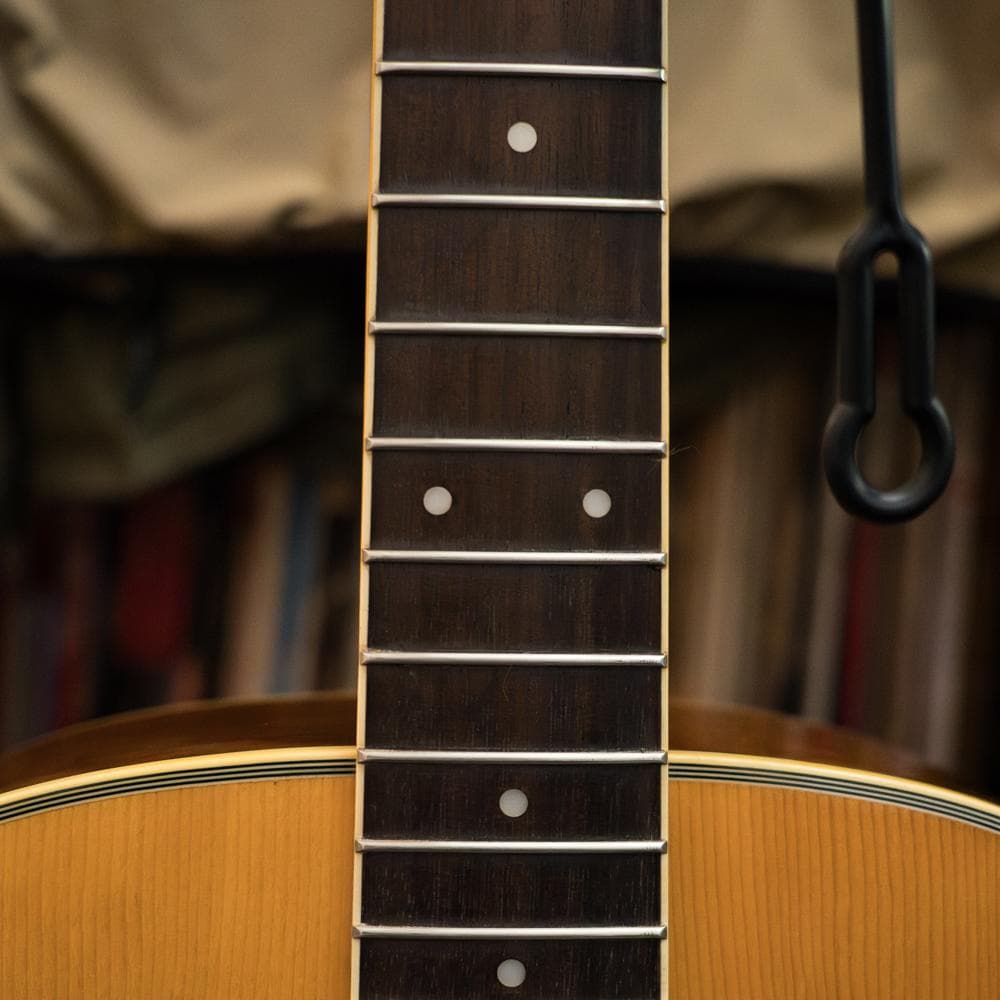 MORRIS MF-251 2000年 極上コンパクト - winetouritalia.com