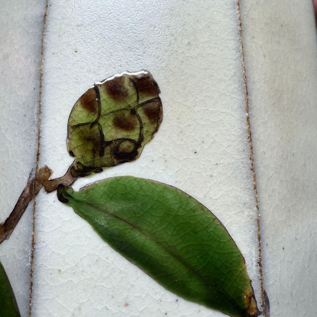 日本工芸会正会員 古川隆久 作 釉彩 椿文 花瓶 共箱 益子焼 人気