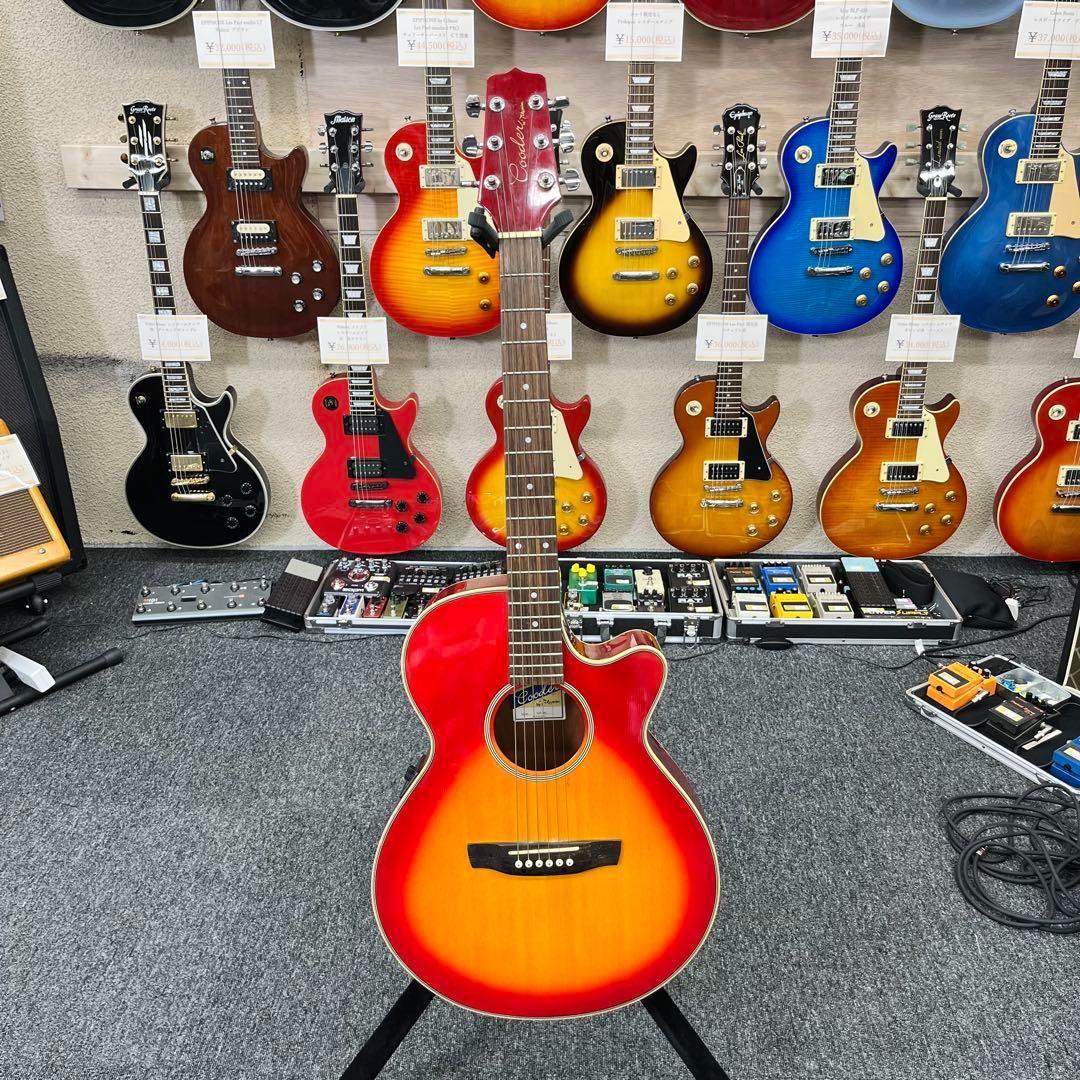 9993】 Cooder by タカミネ Takamine TCP 380