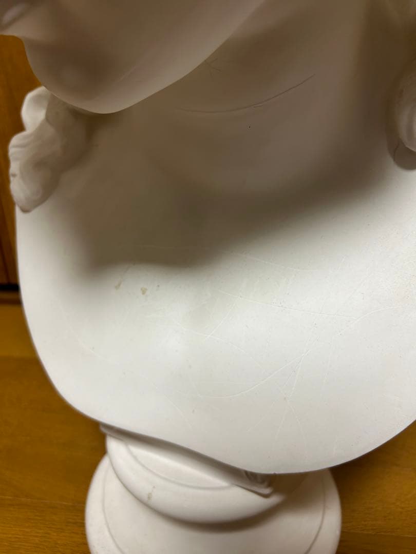 澤田佳歩ボタニカルアート原画