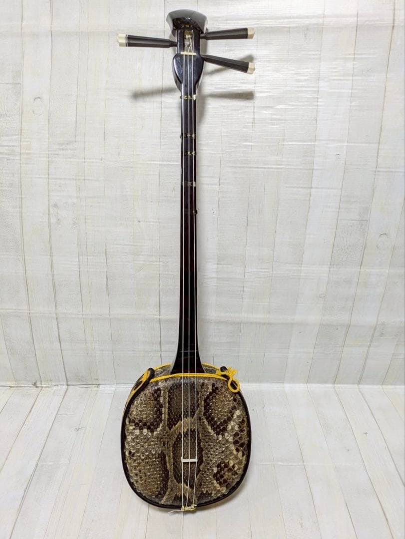 三線 胴 蛇皮（裏側破れ）【ケース付き】 訳あり