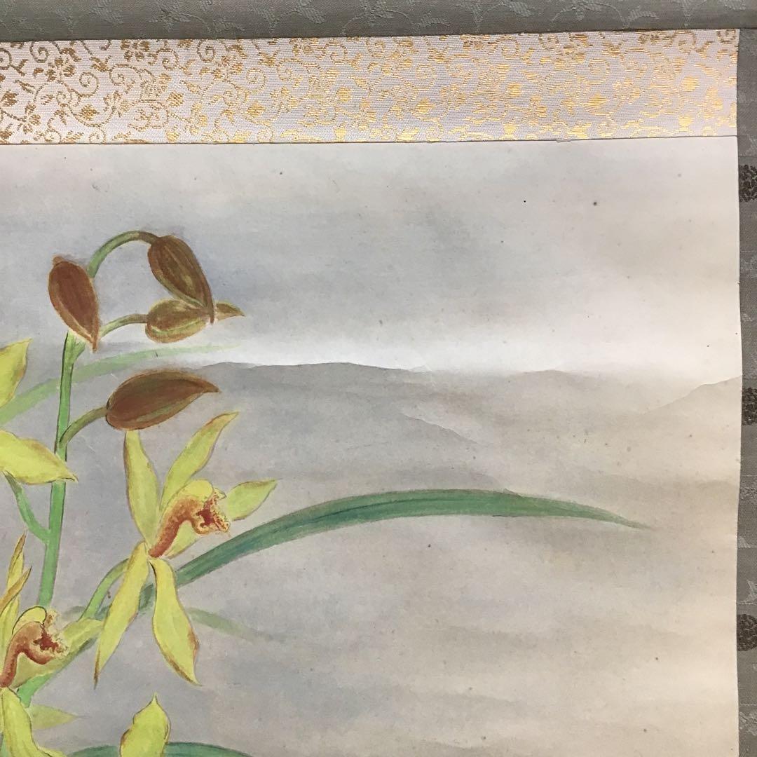 K茶道具 掛軸 「洋蘭の図」 古楊作 共箱 S1007KJ
