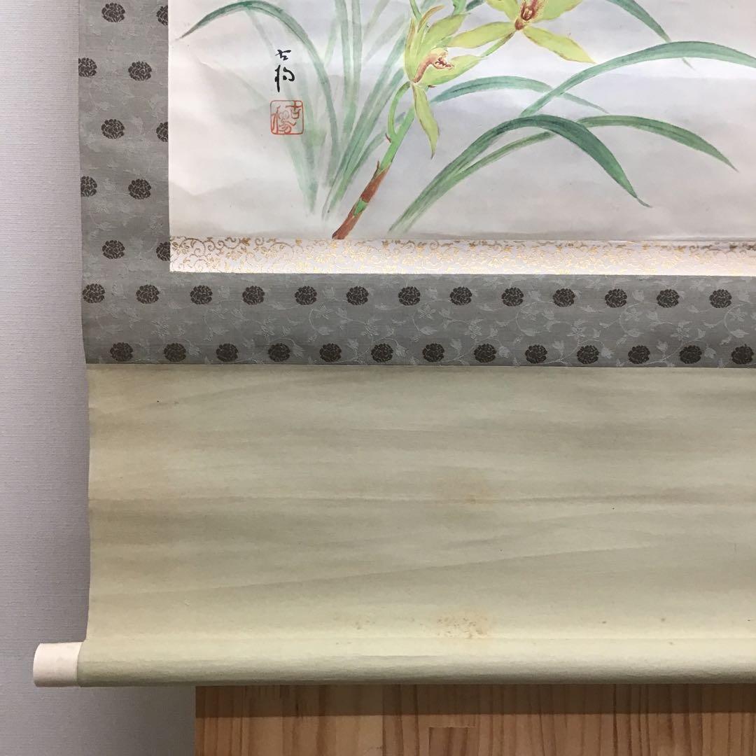 K茶道具 掛軸 「洋蘭の図」 古楊作 共箱 S1007KJ