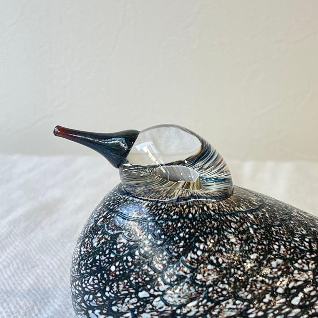 希少入手困難品 iittala オイバトイッカ イッタラバード コモンクイナ