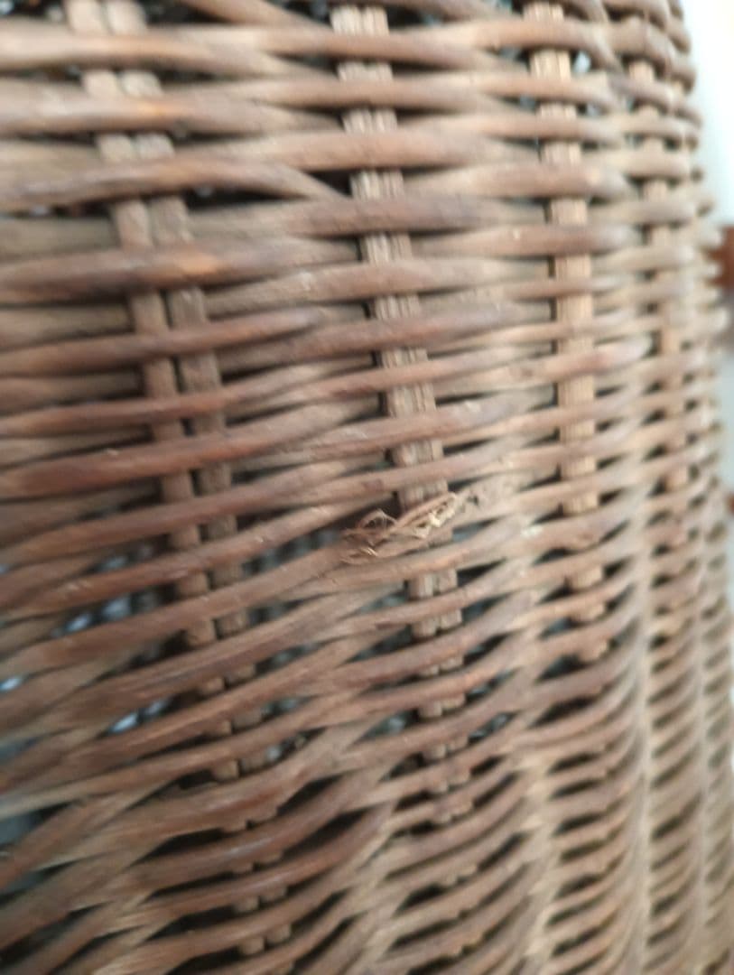 お取置7/16 古手の大きなあけび籠 古民家 インテリア 古物 あけび