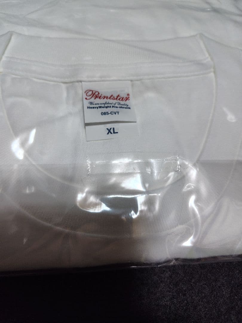 浜辺美波 写真集 25 豪華版 限定特典　Tシャツ+ステッカー