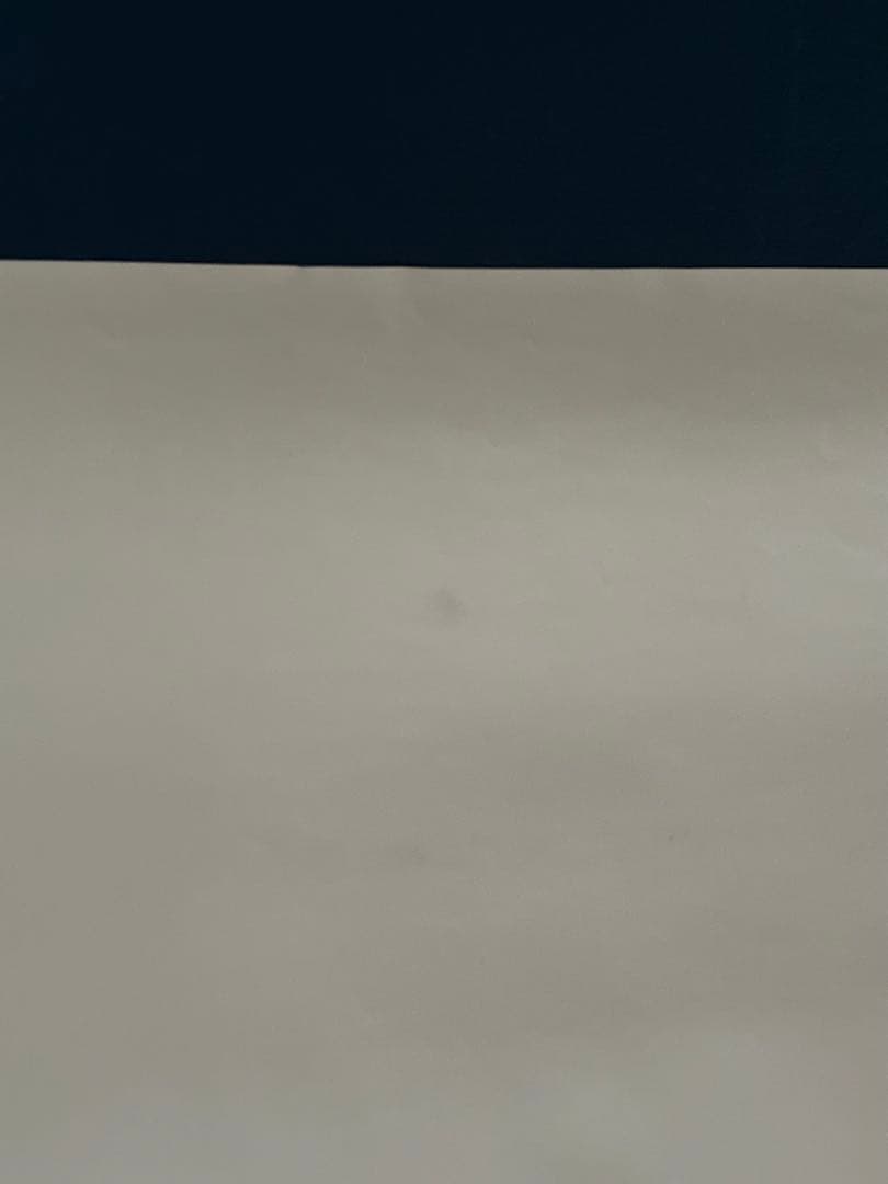 目撃　USオリジナル映画ポスター