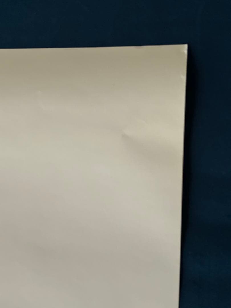 目撃　USオリジナル映画ポスター