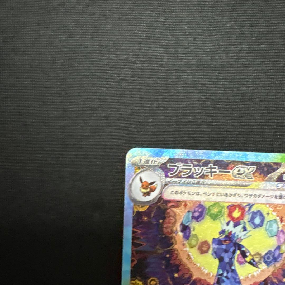 【ワンオーナー】【美品】　ブラッキーex SAR 217/187