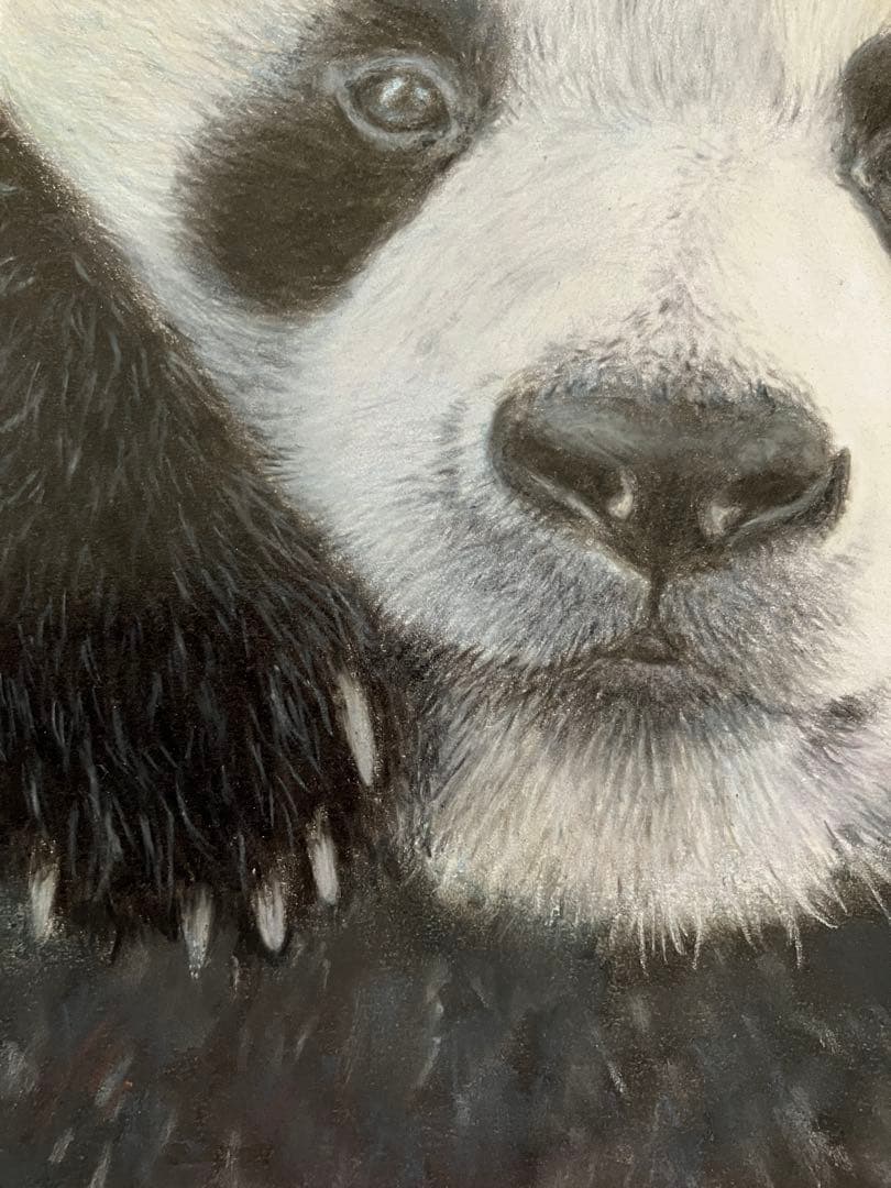 “やっほい” 色鉛筆画 パステル パンダ