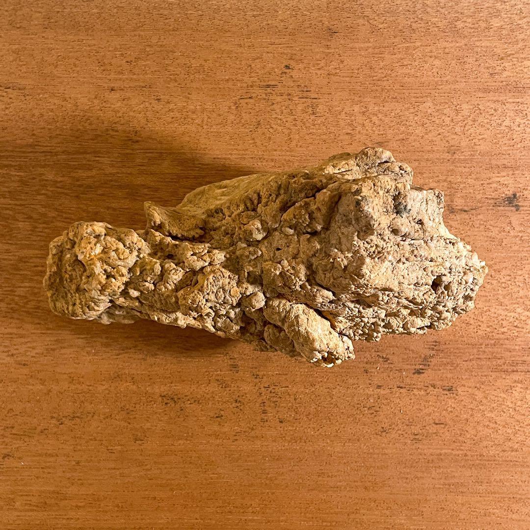 恐竜の糞 コプラライト 900g 恐竜型 ティラノサウルスレックス