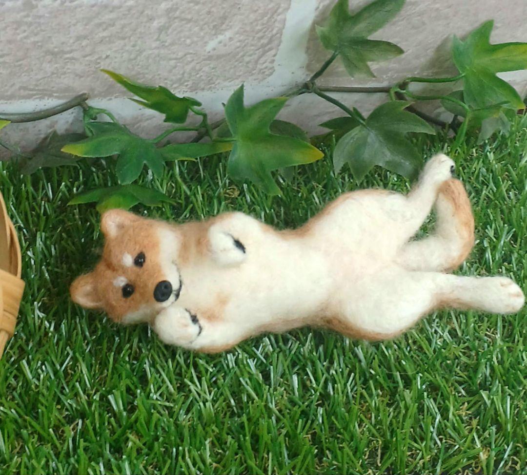 羊毛フェルト 毛づくろいチワワちゃん 10