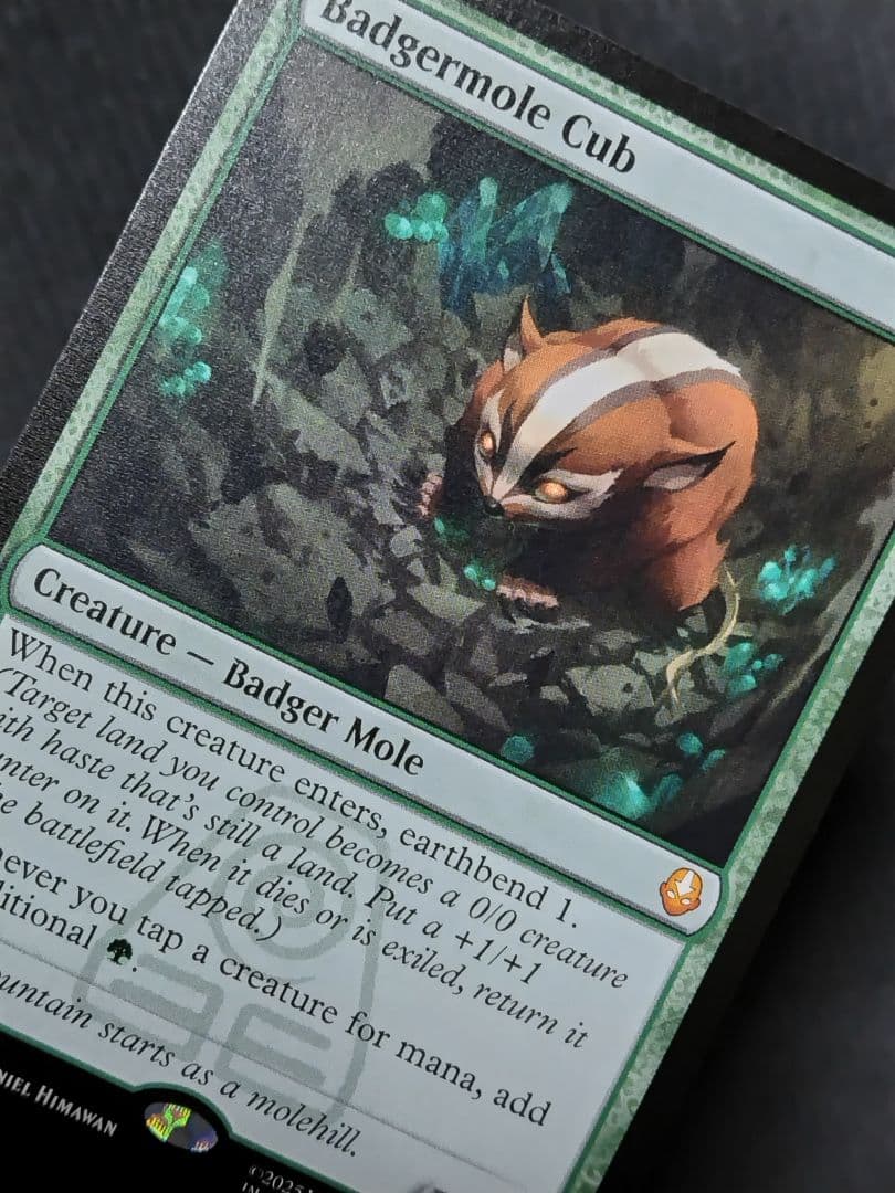 MTG】「アナグマモグラの仔/Badgermole Cub」英語版1枚 - メルカリ