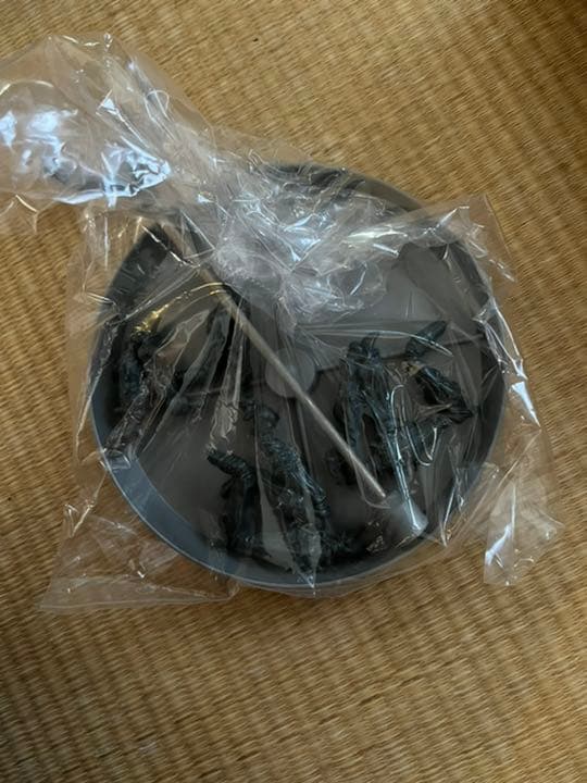 バトラ成虫 幼虫フィギュア ソフビセット バトラ幼虫タグ付＆成虫箱入