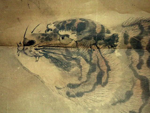 ♥【真作】　掛軸　三尾 暁峯　猛虎図　掛け軸　虎　寅　骨董　古玩