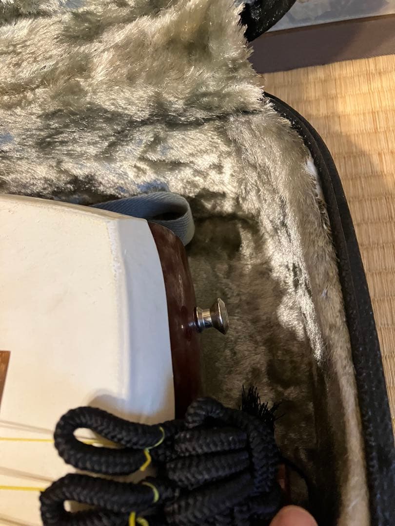 津軽三味線 撥 ハードケース