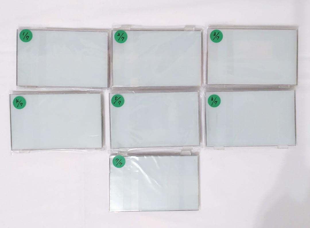 Library of Ruina ハムハムパンパン W社R社 コンプリートセット