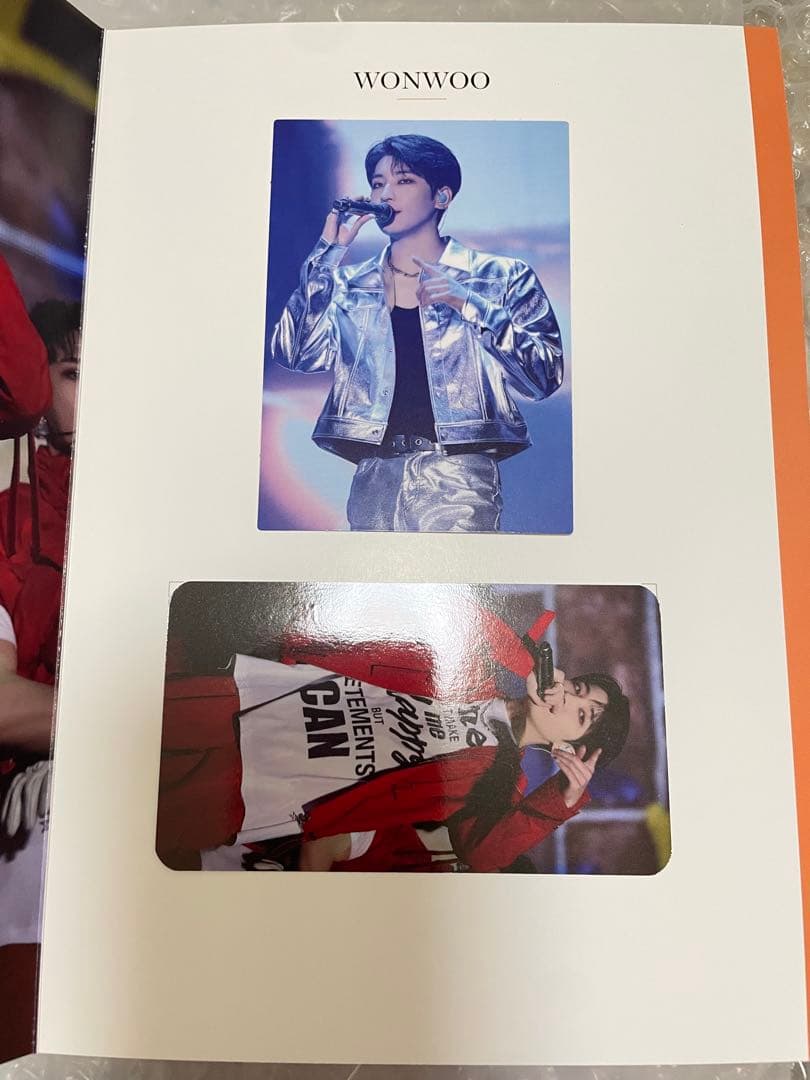 SEVENTEEN メモリアルカード 南海ラピート トレカ ウォヌ