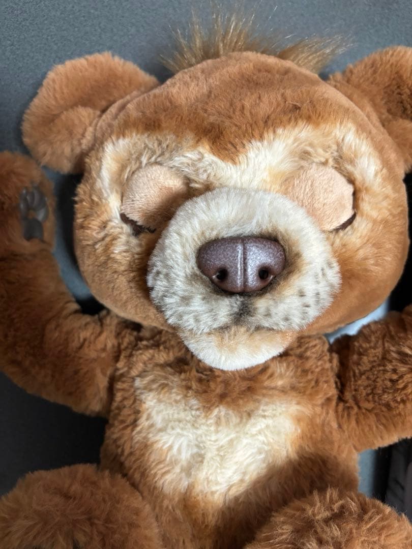 み*ー様 ファーリアル　遊ぶのだいすき♪ こぐまのカビー　クリスマス　プレゼント