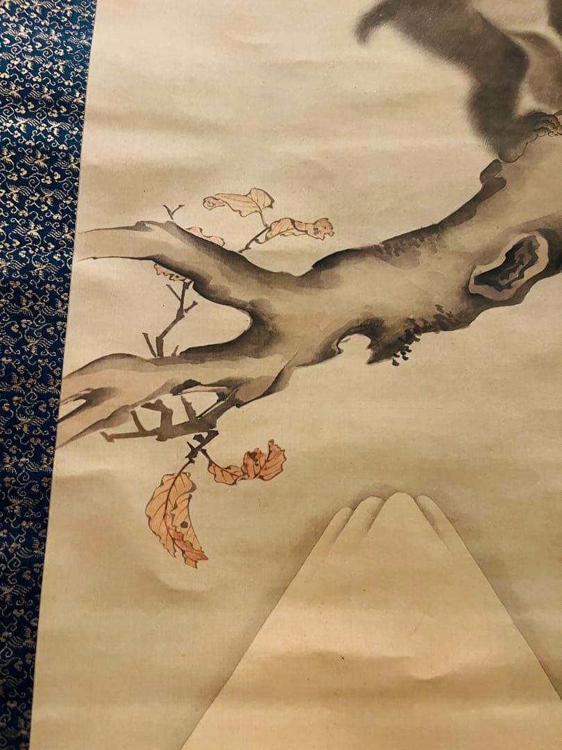 掛軸箱付き】森狙仙 親子猿之図 - メルカリ