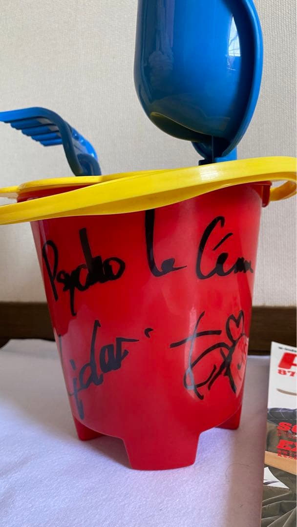 当選品】Lida AYA サイン入り 撮影使用 サイコルシェイム