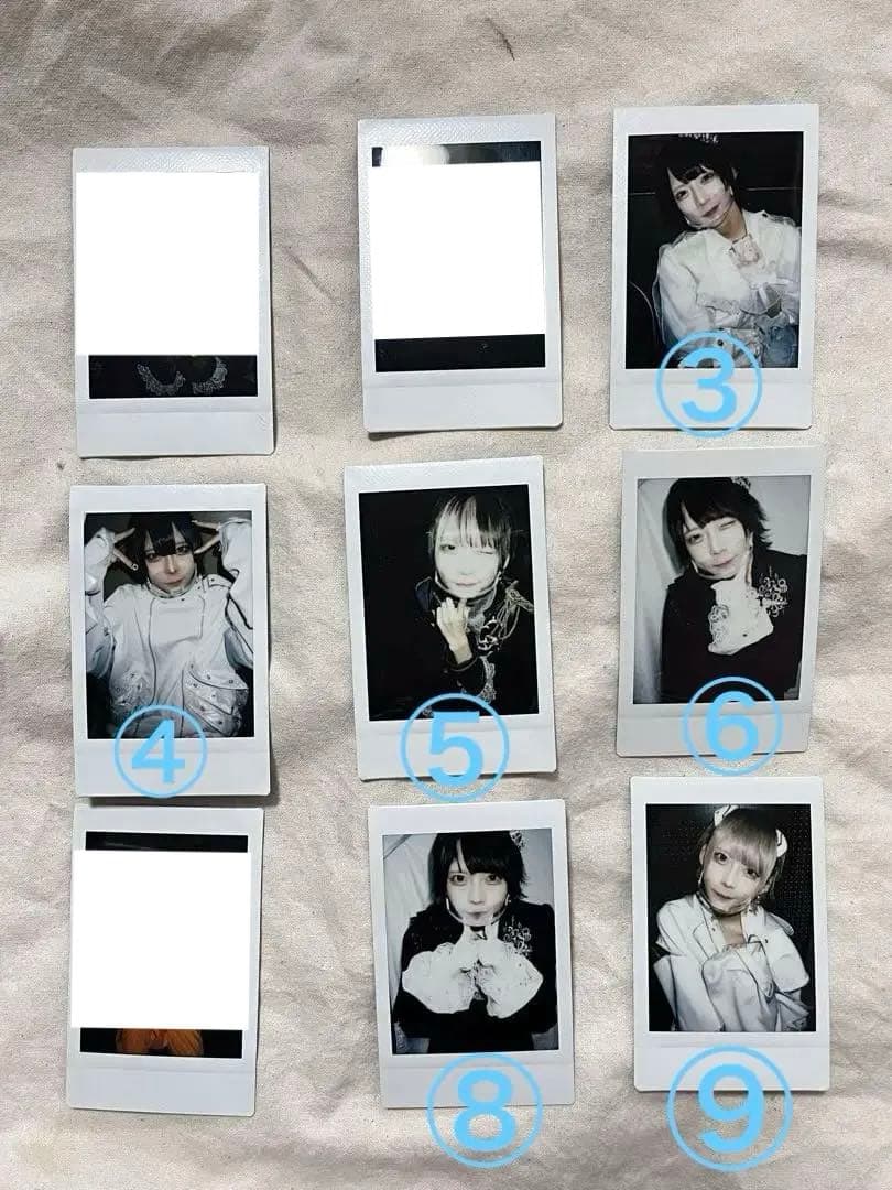 scapegoat らぶしっく はやて チェキ 33枚