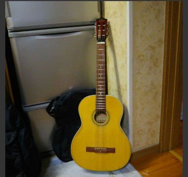 TOKAI 鉄線ギター No540