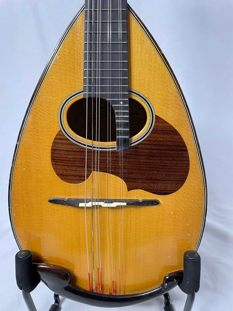 SUZUKI/スズキ クラシックマンドリン M-100 - メルカリ