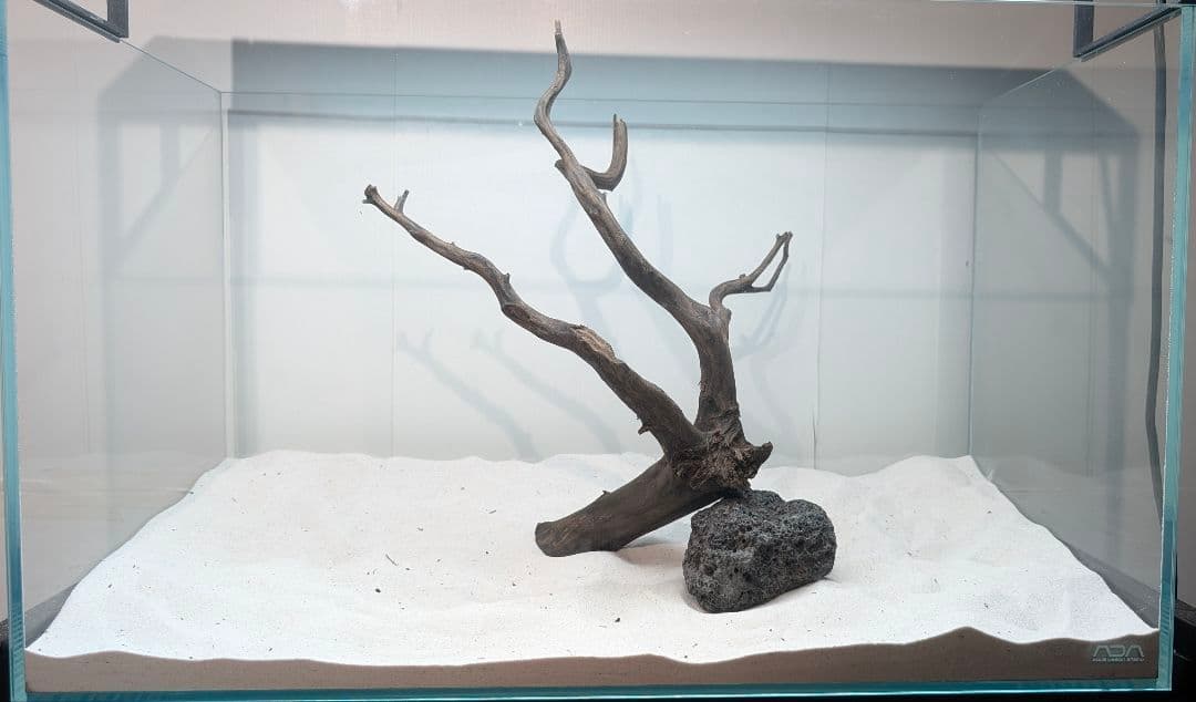 レイアウトセット【LSB010】 スマトラブランチウッド 水槽 まとめ買い