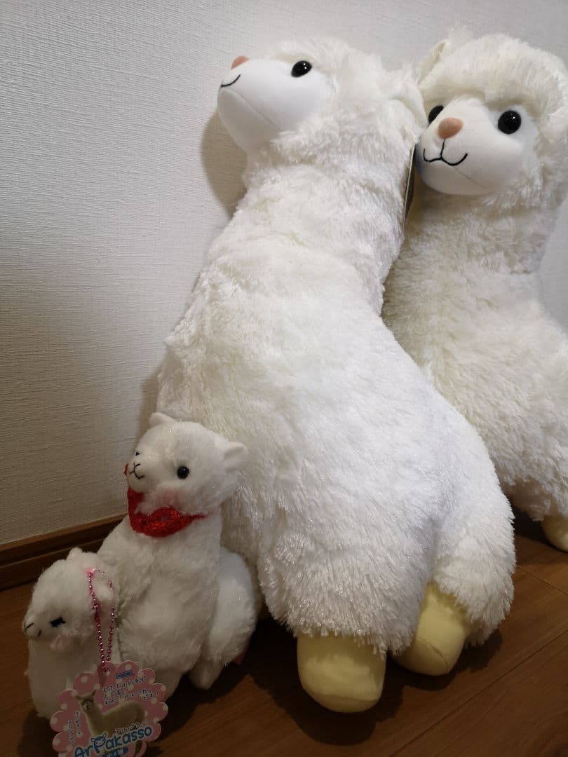 ★アルパカファミリー★