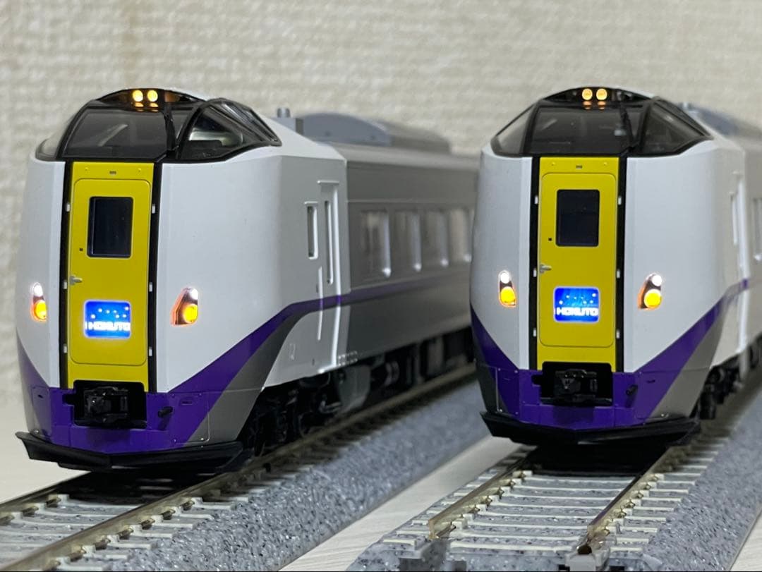 スカモルツァ様