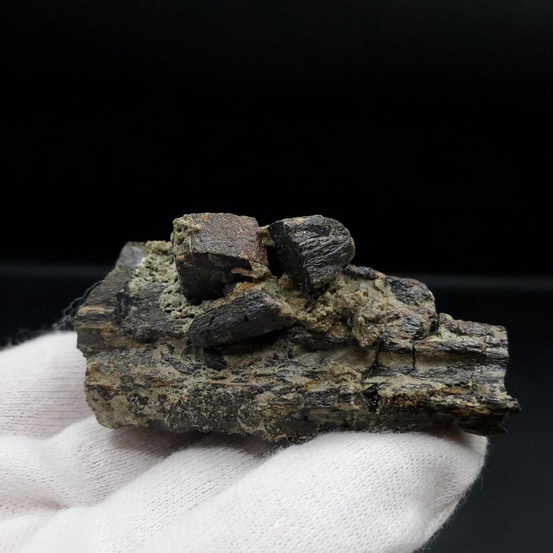 博物館級 ヒパクロサウルス 顎 化石 恐竜 本物 175.67mm fr27