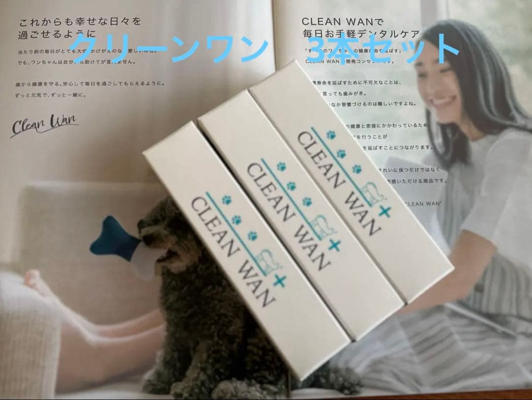 CLEAN WAN デンタルケア 3本セット CLEAN WAN デンタルケア 歯磨き