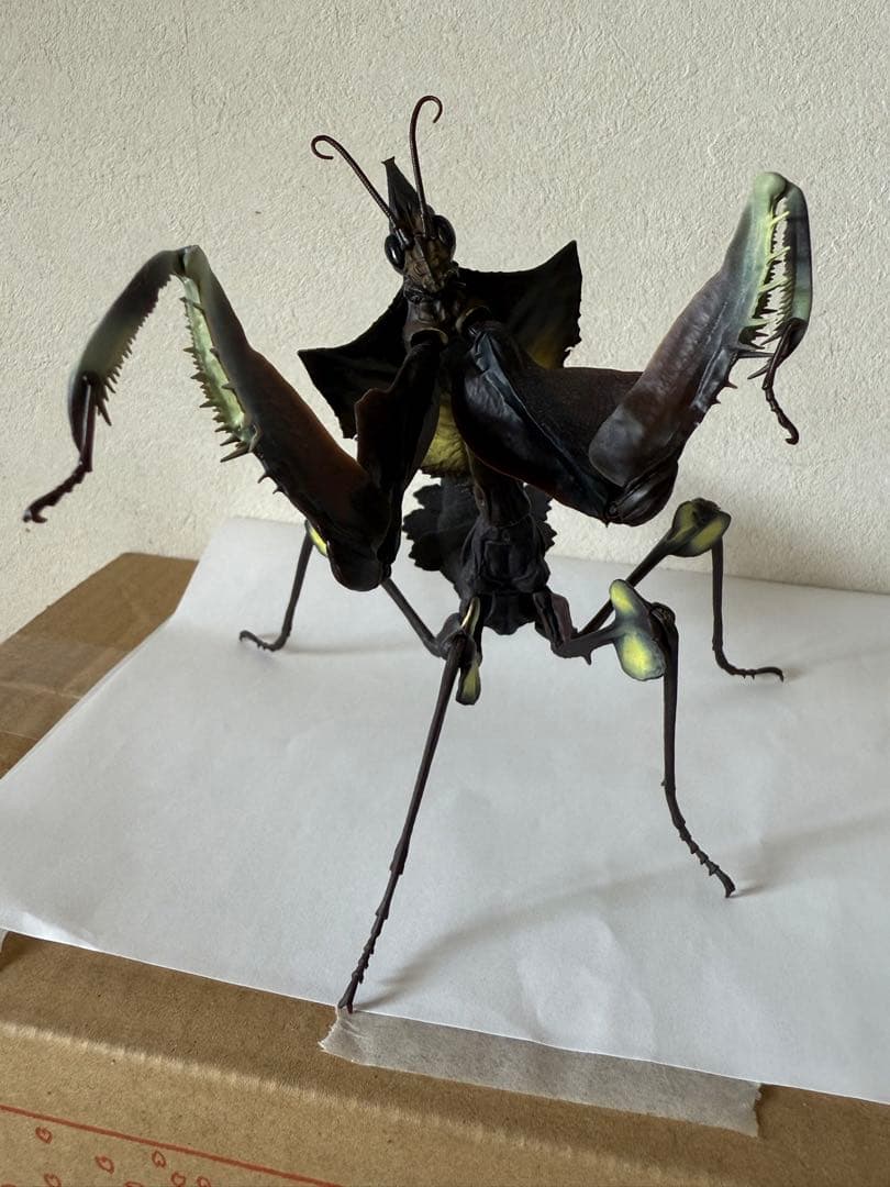 シ*ン様 いきもの大図鑑アドバンス　ニセハナマオウカマキリコンプリート