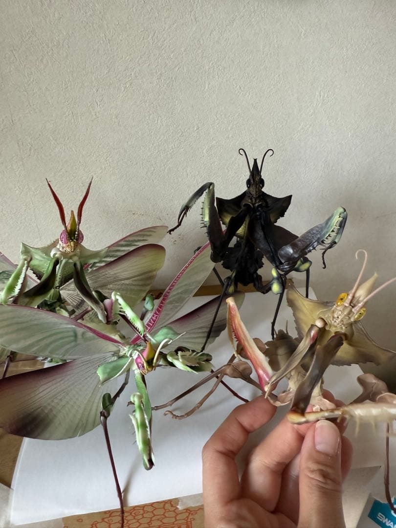 シ*ン様 いきもの大図鑑アドバンス　ニセハナマオウカマキリコンプリート