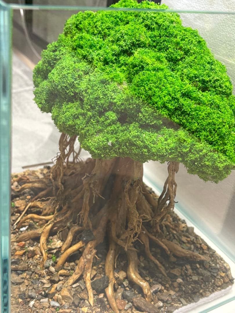 盆栽流木 人工 アクアリウム