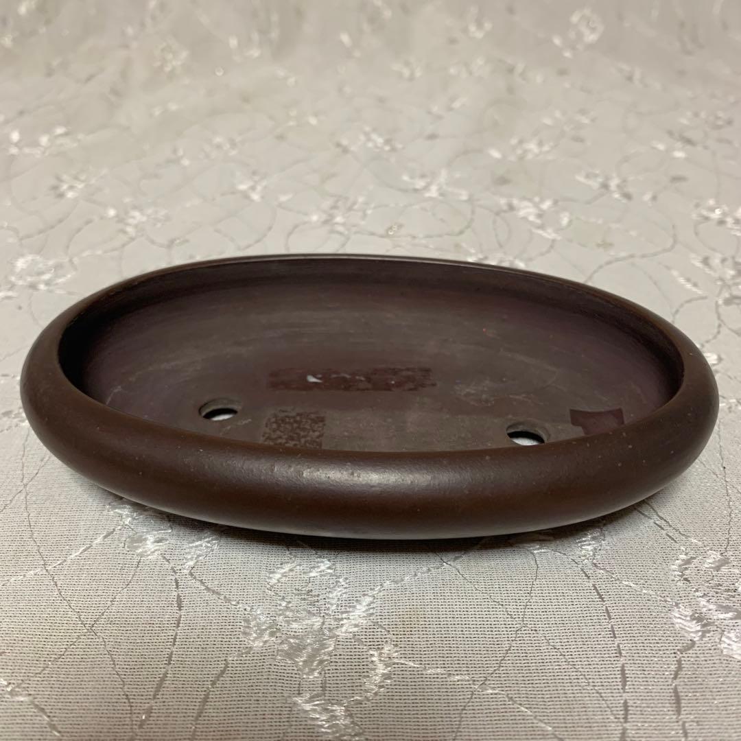 佳山　紫泥楕円　盆栽鉢　浅め