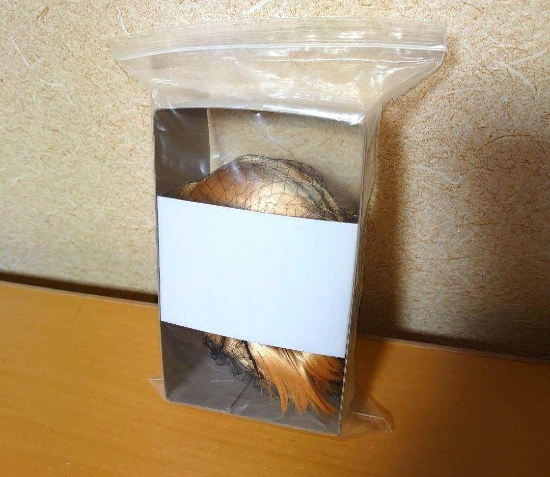 ボークス ドルフィードリーム DDS 鏡音リン REBOOT ドール