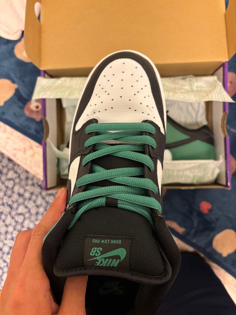 スケートボード Nike SB Dunk Low Pro Black and Green