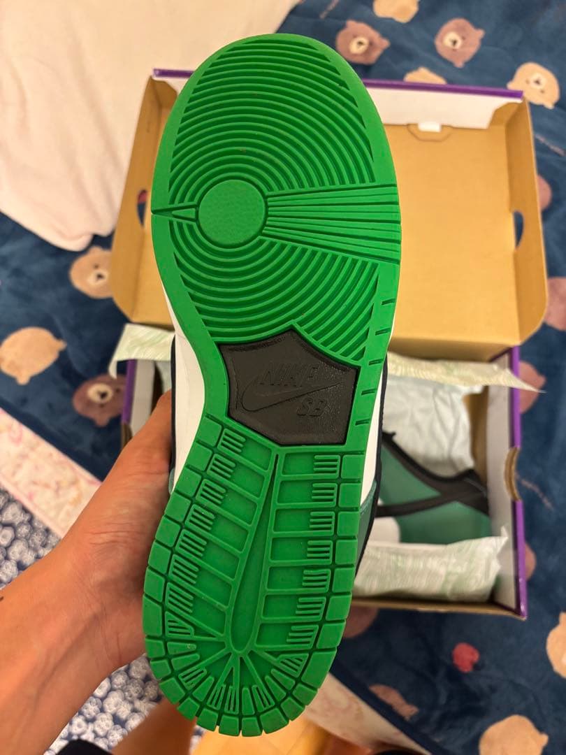 スケートボード Nike SB Dunk Low Pro Black and Green