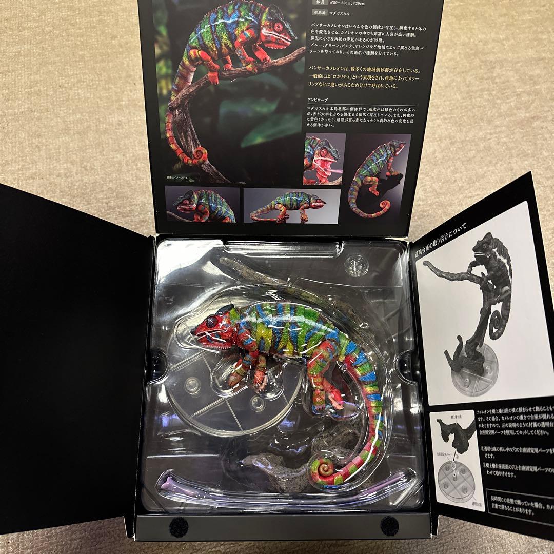 いきもの大図鑑プレミアム　パンサーカメレオン（アンビローブ・グリーン）