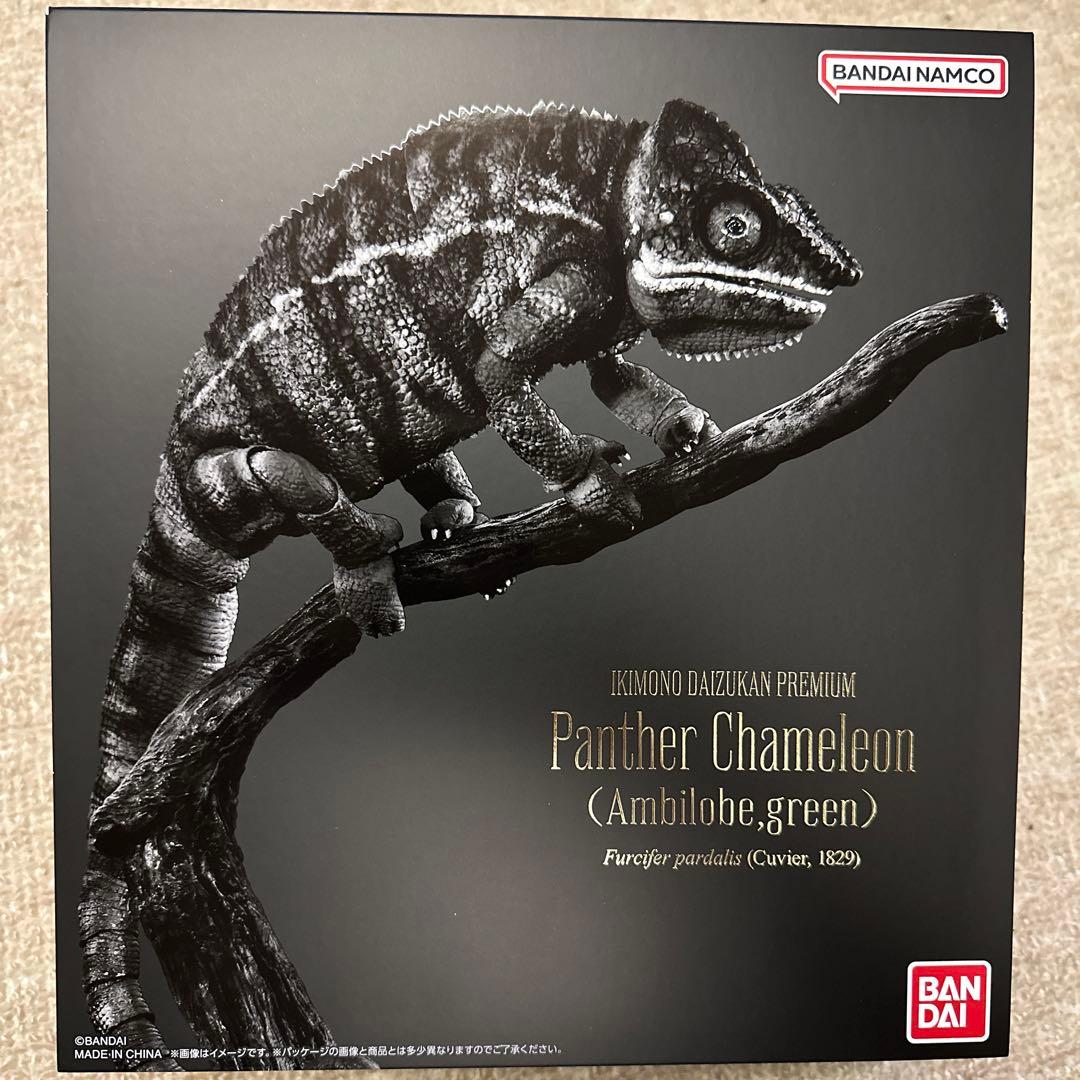 いきもの大図鑑プレミアム　パンサーカメレオン（アンビローブ・グリーン）