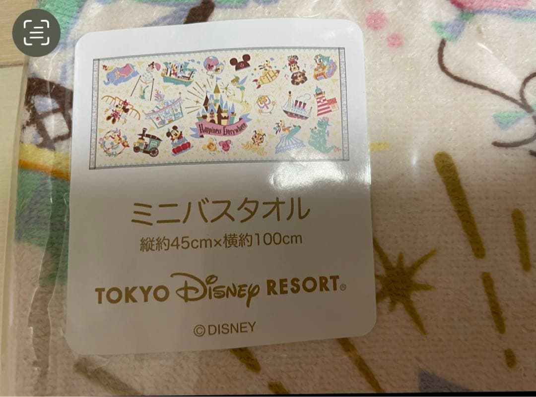 【購入前コメント必須】ディズニーリゾート☆パークアイコン☆タオルセット