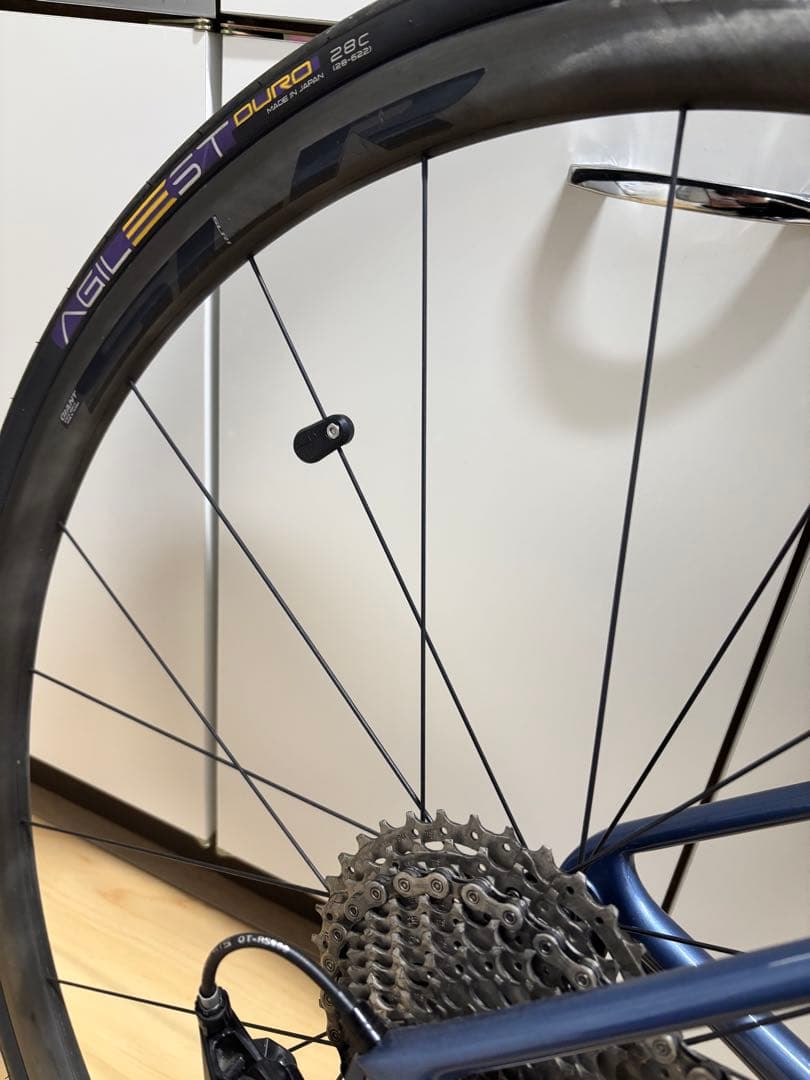 自転車本体 GIANT TCR ADVANCED SL 2021