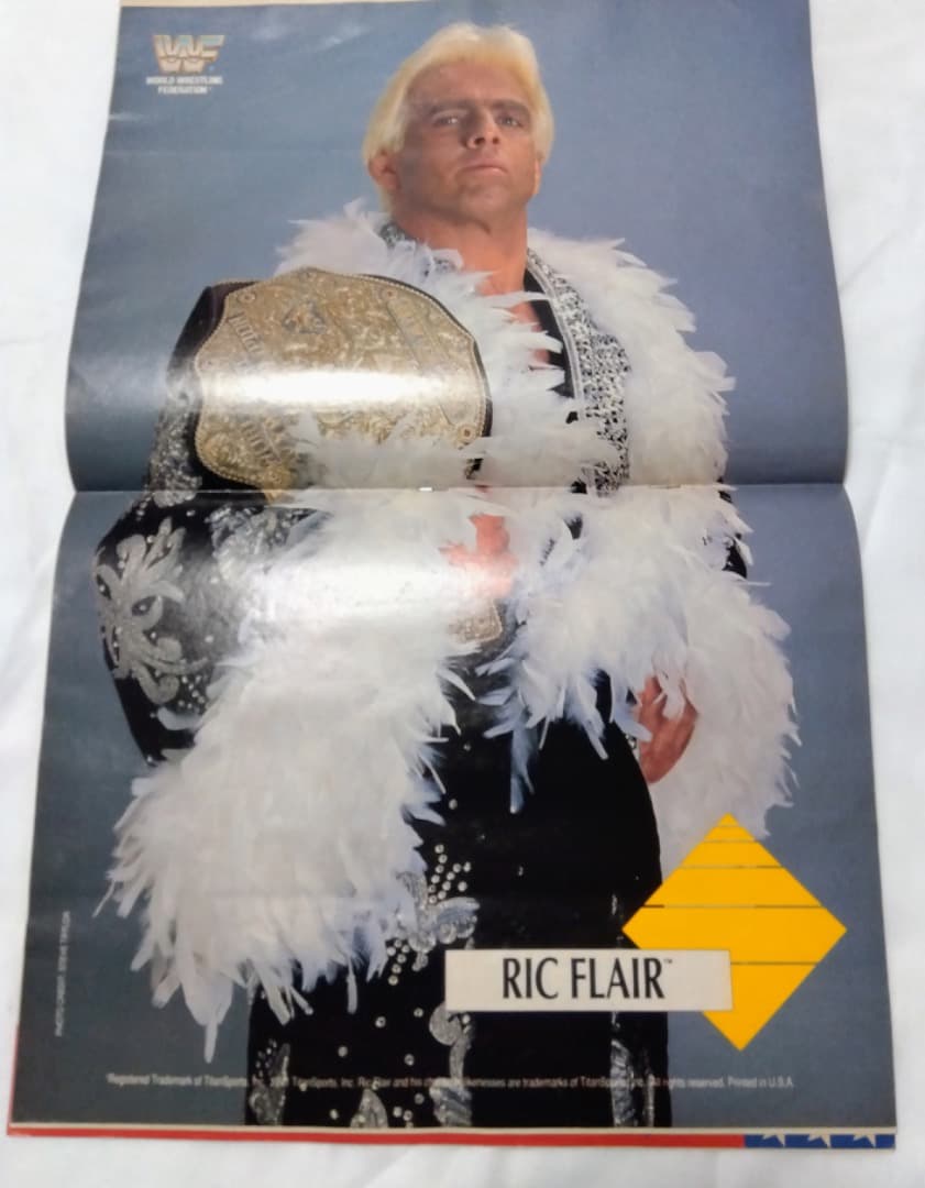 【激レア】WWF公式ハワイアロハスタジアム大会パンフ  フレアー／ホーガン超豪華